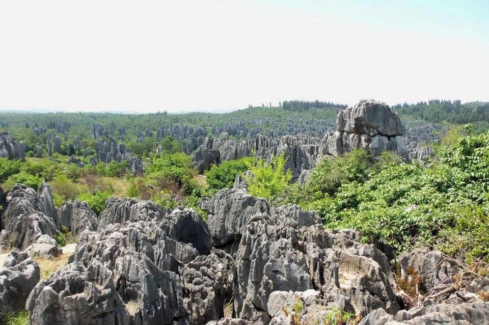 Stone Forrest in Yunnan, China