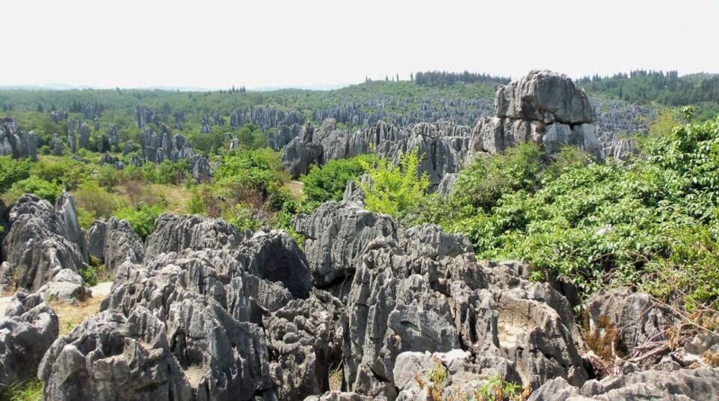 Stone Forrest in Yunnan, China