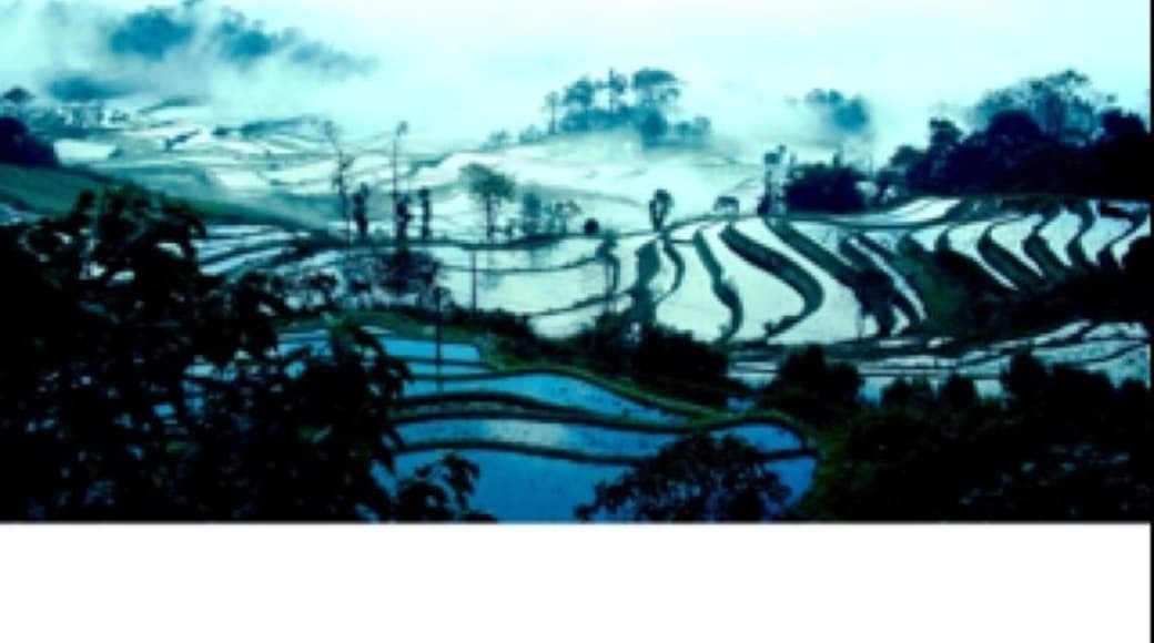 The beautiful rice fields in Yuangyang, #yunnan : #China