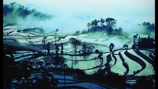 Rice field Terrace lost in the hills of Yuangyang.