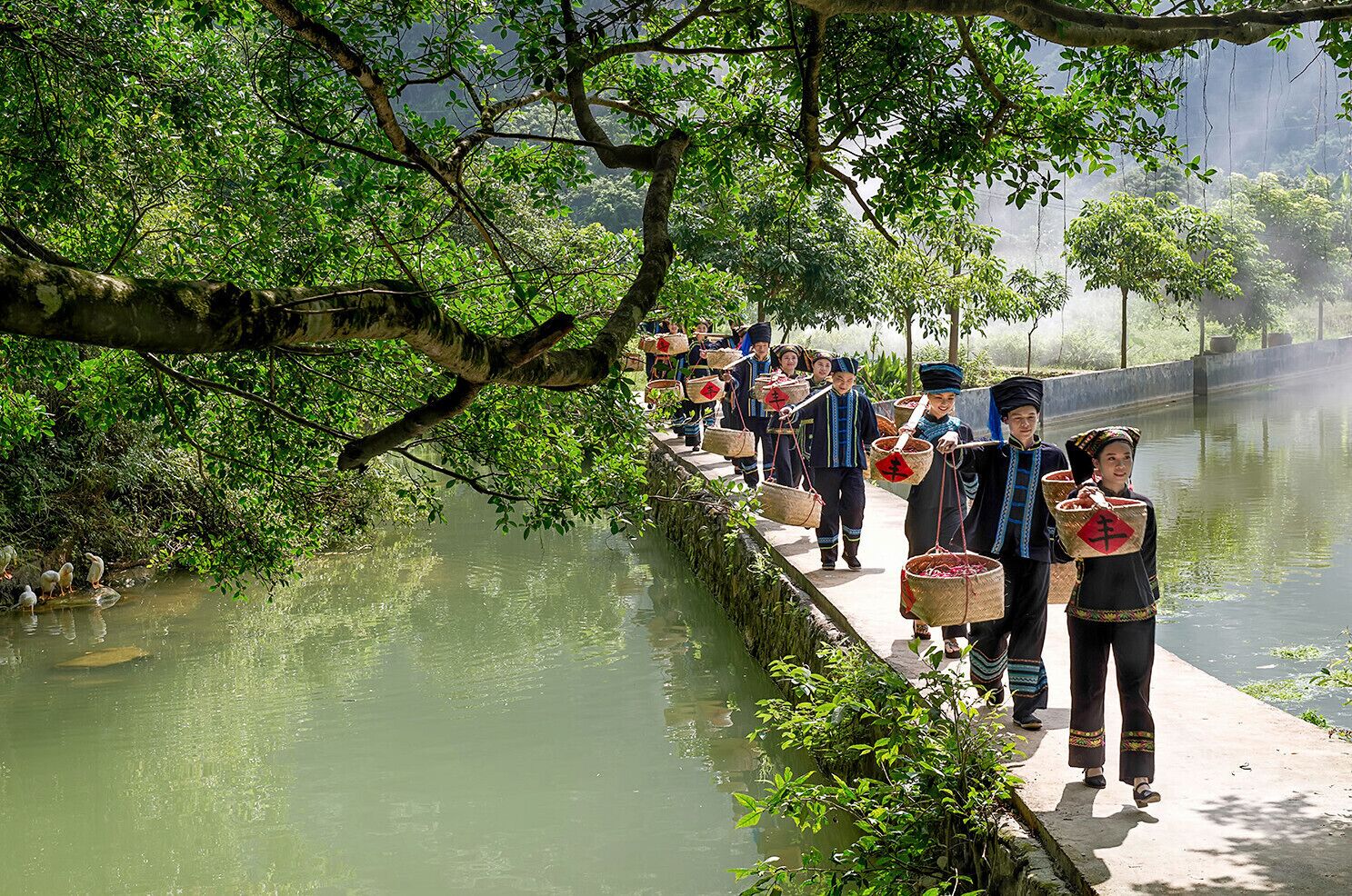 The harvest of #ZhiTianjiao (or Red Cluster Pepper), it is a famous specialty in Guangxi,and is one kind hottest  pepper under Tiandeng specific soil and climatic. #天等指天椒.

https://twitter.com/Beautifulgx
