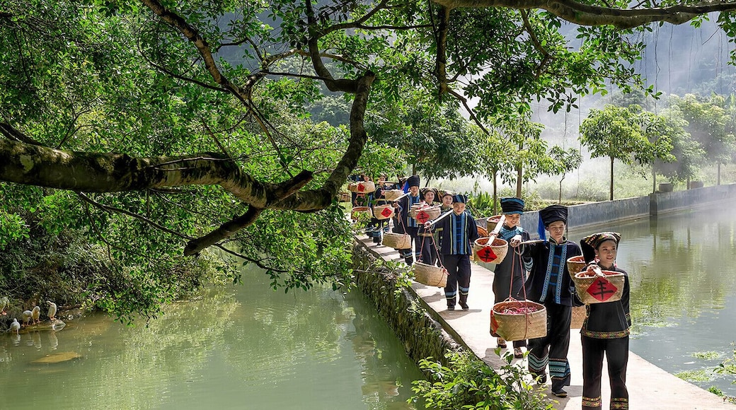 The harvest of #ZhiTianjiao (or Red Cluster Pepper), it is a famous specialty in Guangxi,and is one kind hottest pepper under Tiandeng specific soil and climatic. #天等指天椒.
https://twitter.com/Beautifulgx