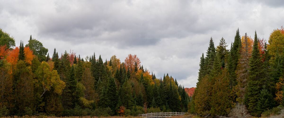 View of a peaceful lake with a wooden bridge in the Frontenac national park, Canada