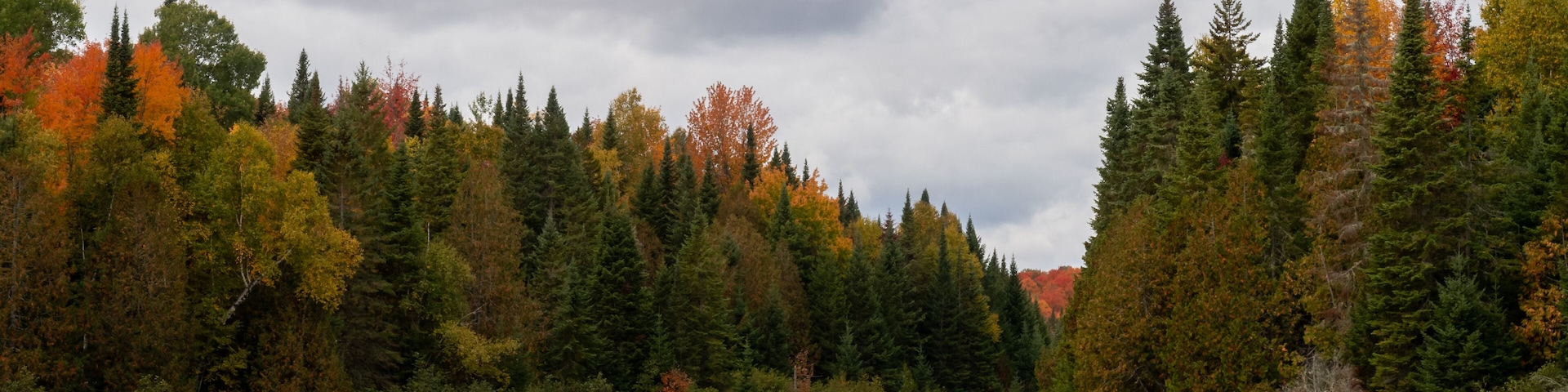 View of a peaceful lake with a wooden bridge in the Frontenac national park, Canada