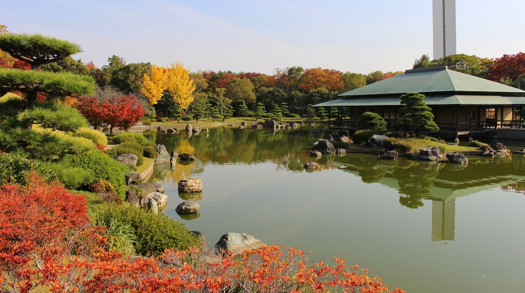 大阪府堺市 大仙公園日本庭園の紅葉