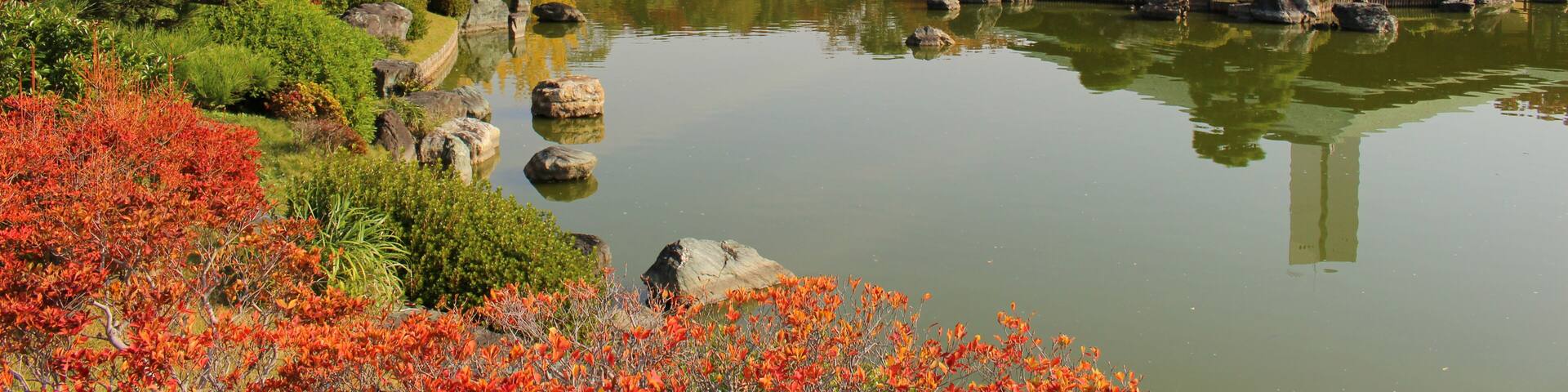 大阪府堺市 大仙公園日本庭園の紅葉