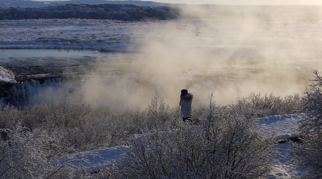 Stopped at Faxi waterfall on our way to Gullfoss. It looked stunning, with the steam rising over the light from the rising sun. A great first Icelandic waterfall to see! #troveon #iceland #waterfall #nature
