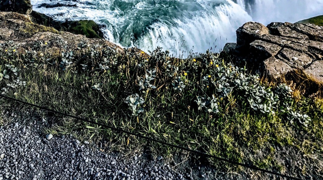 Thunderous falls #adventure