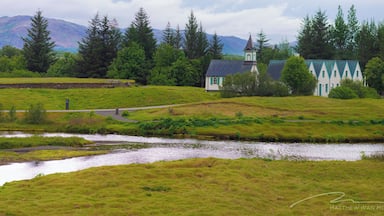 First day of my first visit to Iceland, after a bleary-eyed 48 hour travel fiasco, we did the Golden Circle tour and stopped at Ăingvellir National Park.