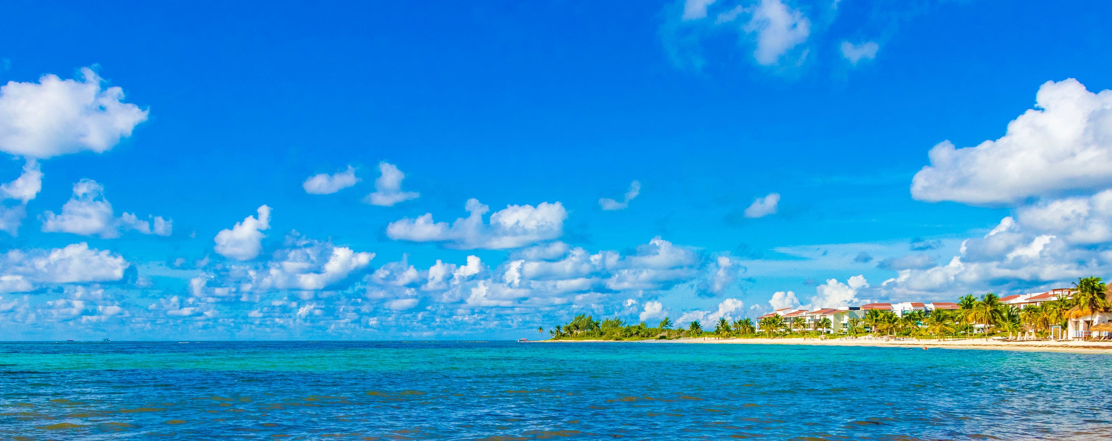 Ein tropischer Strand mit klarem, blauem Wasser, weißem Sand und einer Reihe von Palmen und Gebäuden.