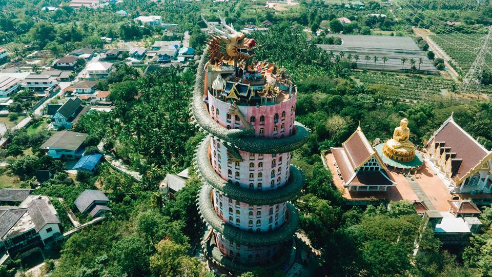 A multi-tiered pagoda with dragon sculptures, surrounded by lush greenery and residential buildings.