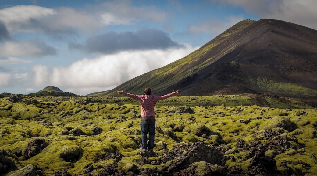 Contrary to what many people may think, Iceland is one of the greenest places in the world. In this photo, moss sprawls across lava field in what can only be described as the untamed wild. #LifeAtExpedia
