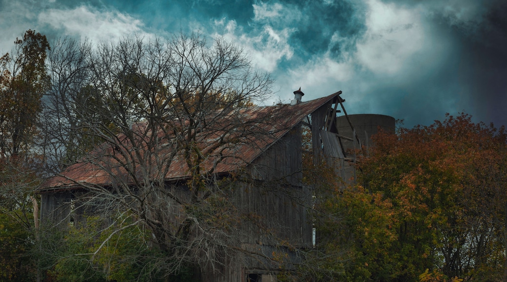 Cold air landscapes of rural scenes depicting barns and abandoned homes in fall colour settings around the South East of Ontario Canada in The Greater Napanee and Stone Mills township.