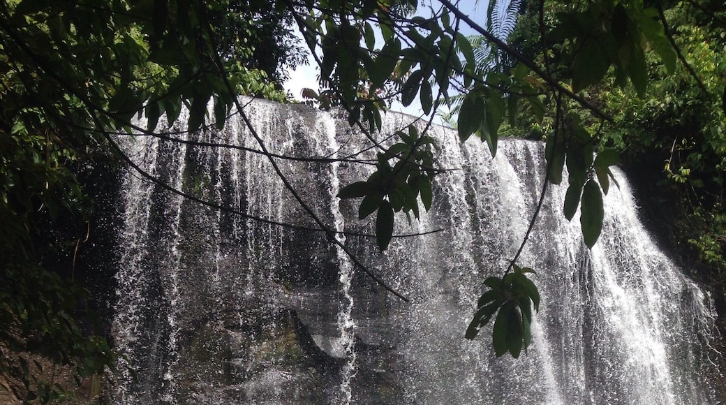 Tangkahan is truly a hidden paradise. The only thing more beautiful than the scenery is the people. You'll never be greeted more warmly than in this gorgeous riverside jungle heaven. Trekking, tubing, massages, waterfalls, elephant washing, monkey spotting and mouth watering food - this place has it all.