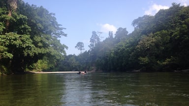 The best way to travel in Tangkahan is by tubing down the river. It's peaceful, safe, unbelievably beautiful and you may even spit snakes and monkeys in the jungle on the way down.