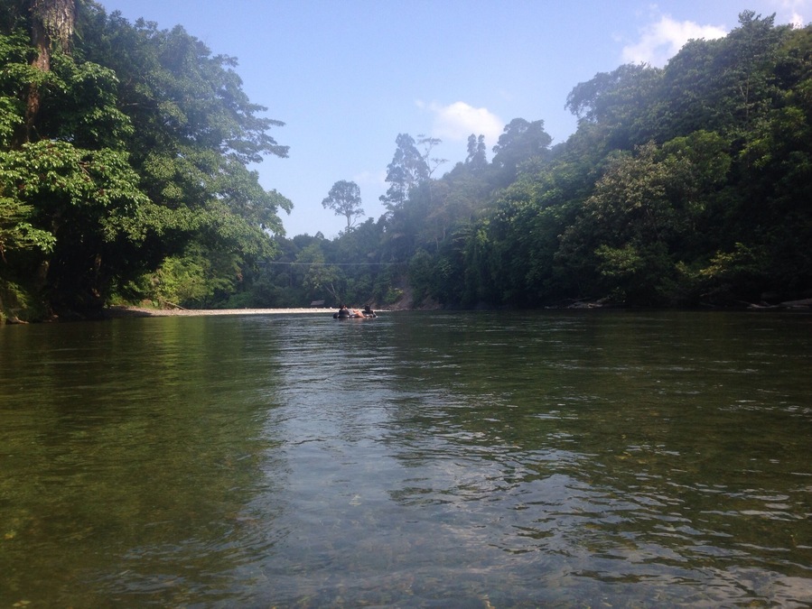 The best way to travel in Tangkahan is by tubing down the river. It's peaceful, safe, unbelievably beautiful and you may even spit snakes and monkeys in the jungle on the way down.