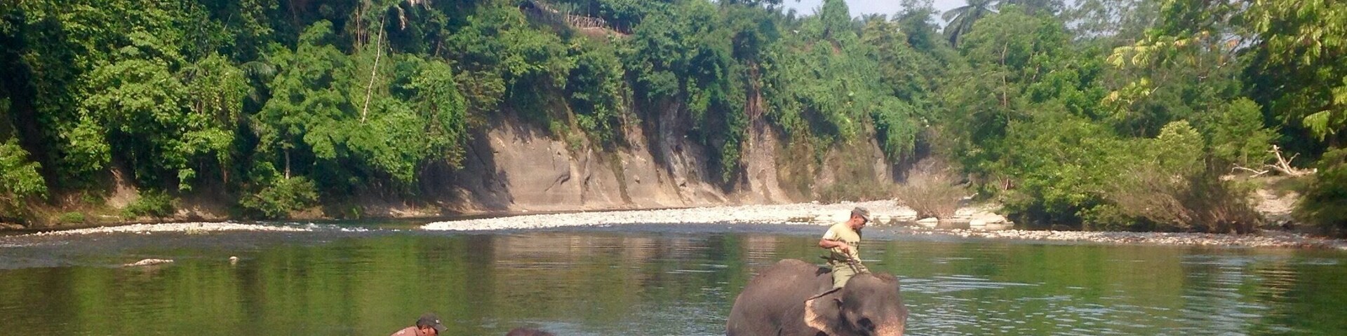 The elephants at Tangkahan have a fantastic life. Patrollers and protectors of the jungle they have river baths and jungle treks daily. A beautiful site to see.