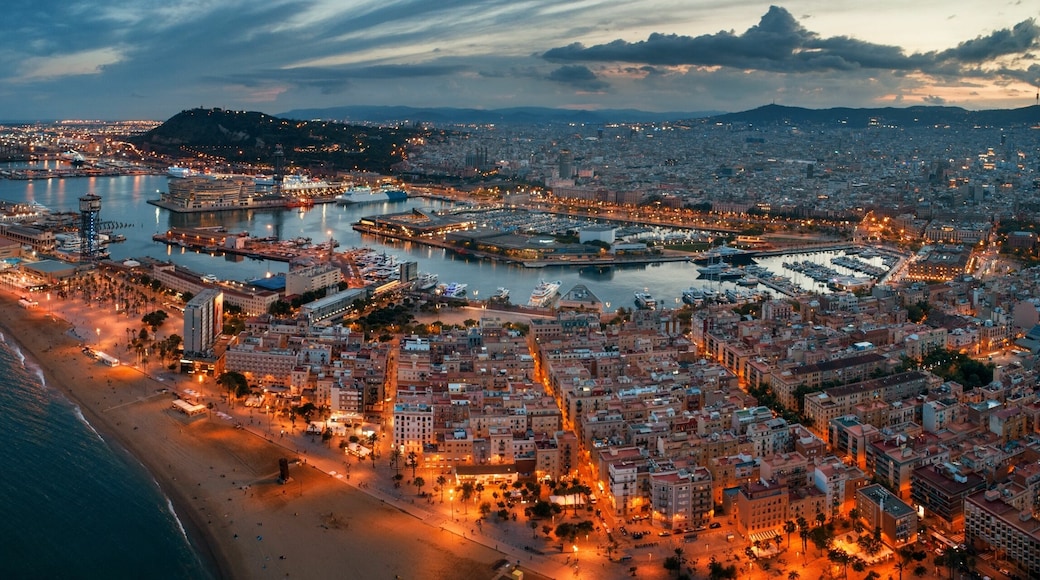 Barcelona Coast aerial night view