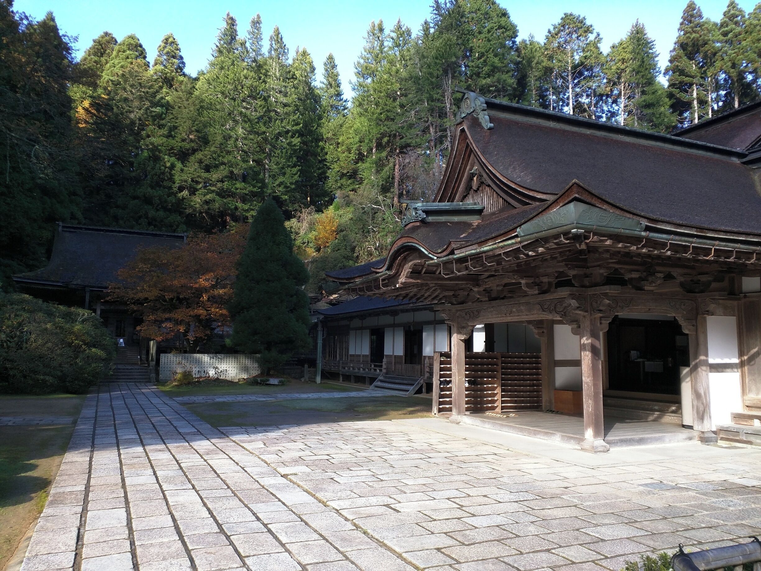 Peaceful and relaxing place.