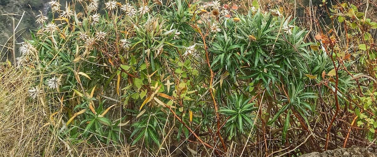 Eira do Serrado - Madeira Island
🏖 Europe's Leading Island Destination 2016
🏖 World's Leading Island Destination 2015
🏖 Europe's Leading Island Destination 2014
🏖 Europe's Leading Island Destination 2013