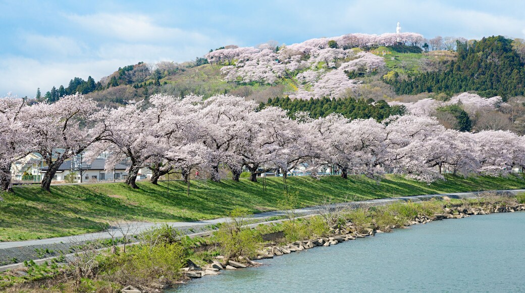 أوجاوارا