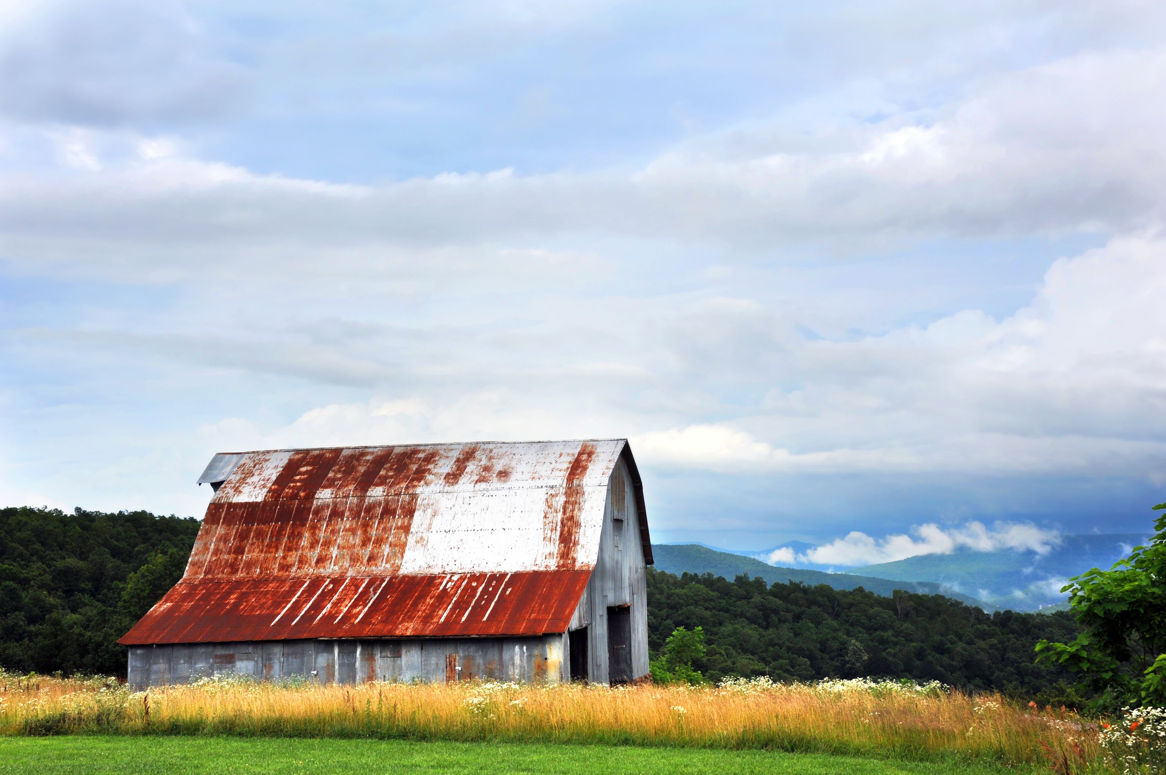 Tin Barn in Ozarks