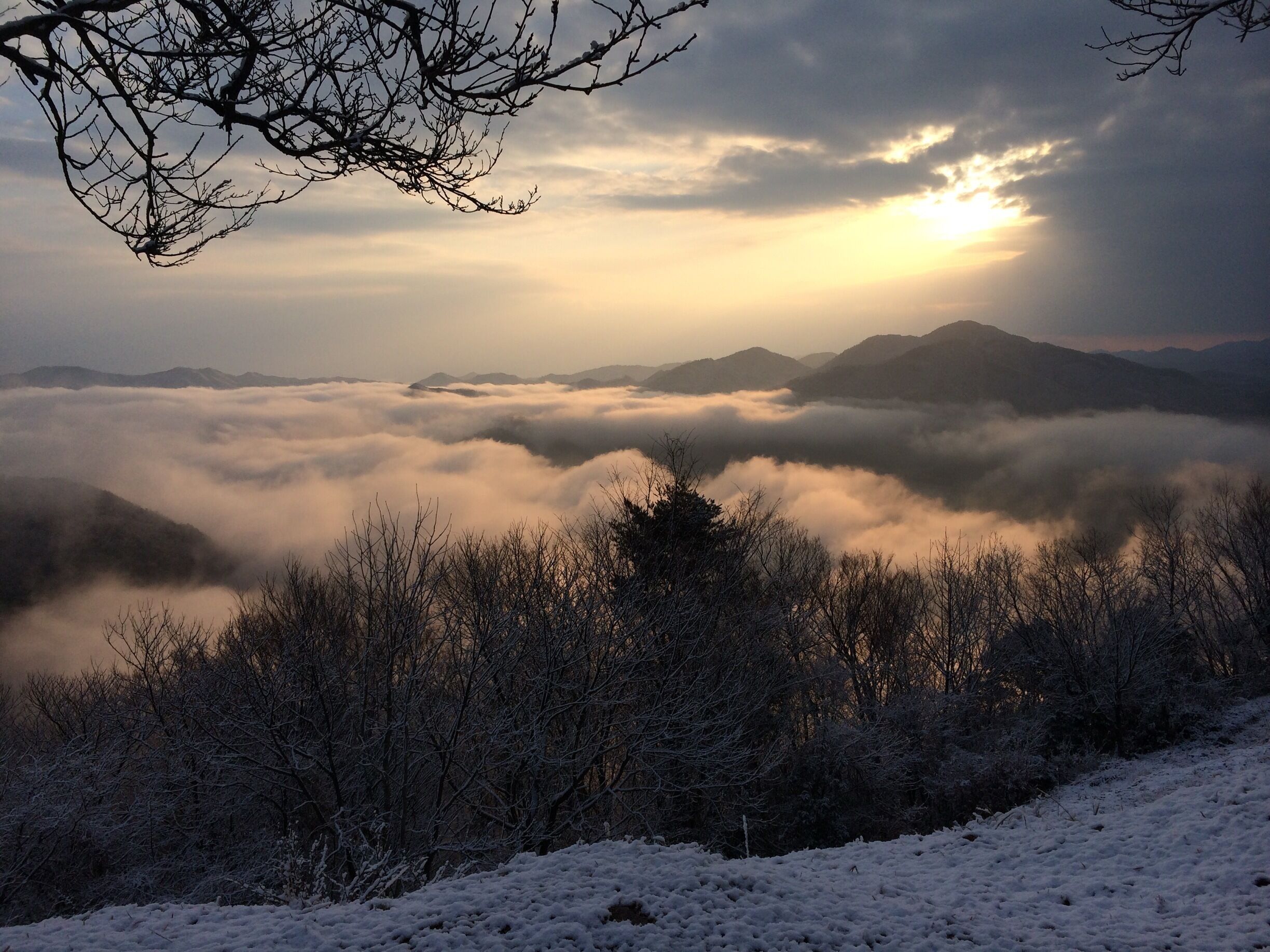 A snowy mountain landscape with a forest in the foreground and a sunlit sky above a layer of clouds.