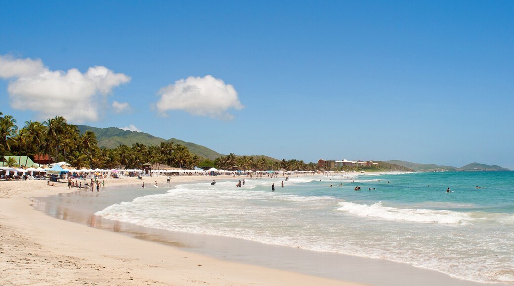 Beautiful caribbean beach