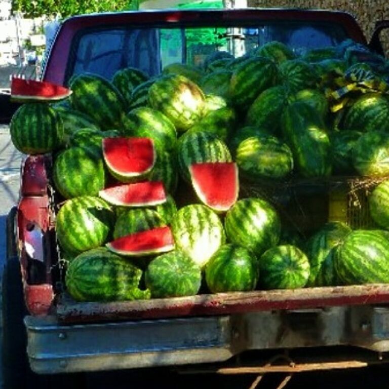 A truck loaded with watermelons.