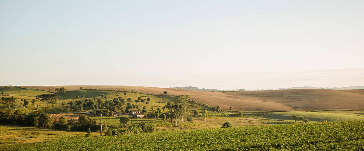 Rolling hills, vineyards, and scattered houses in a rural landscape.