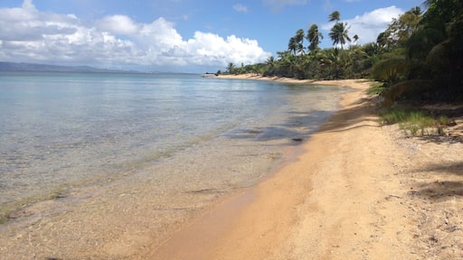 Breathtaking - however, sand is granular