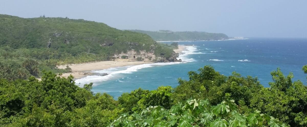 Un paisaje costero con playa, olas del océano y exuberante vegetación.