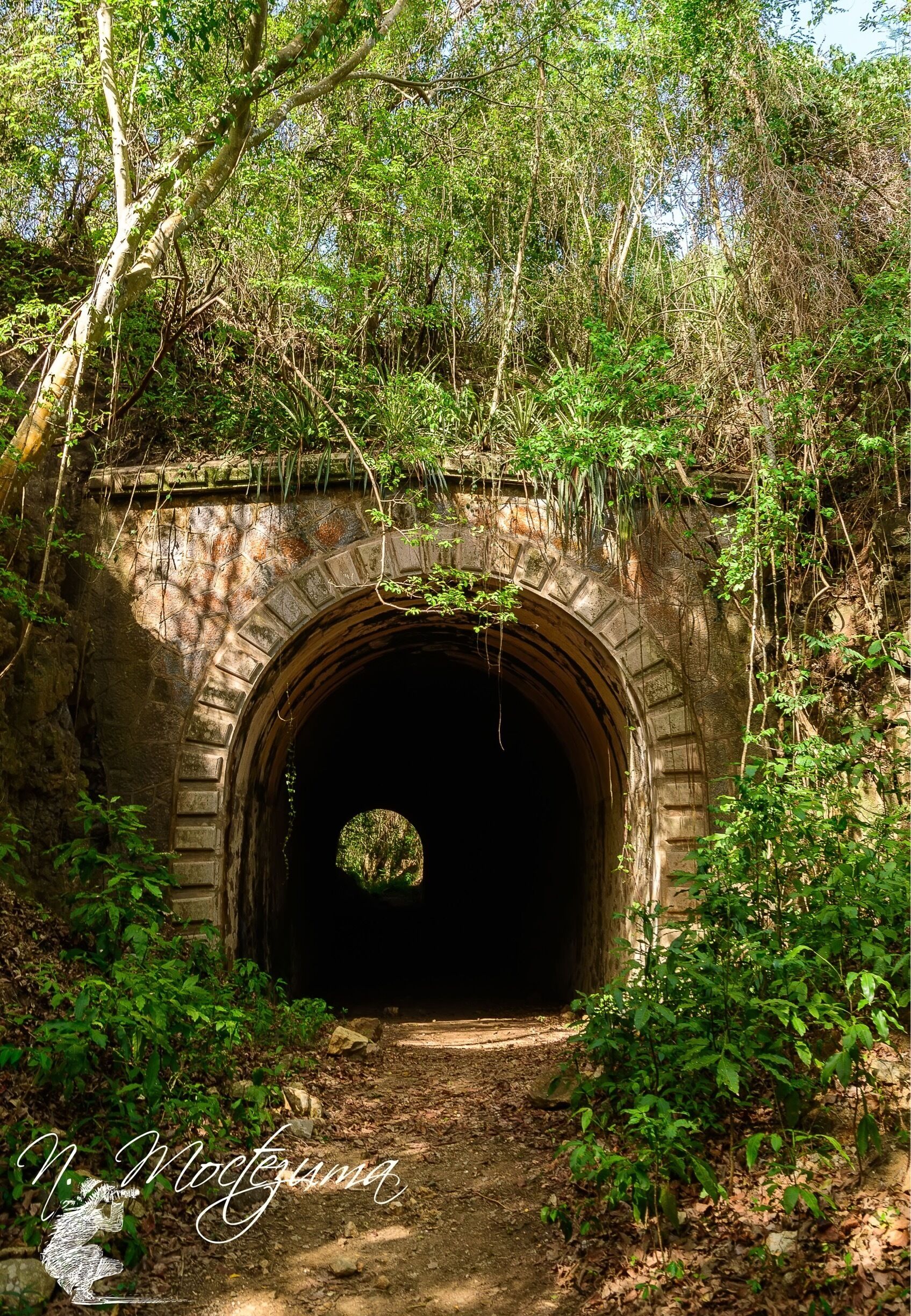 Un túnel de piedra con una abertura circular, rodeado de abundante vegetación y árboles.