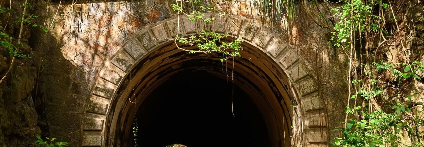 Un túnel de piedra con una abertura circular, rodeado de abundante vegetación y árboles.