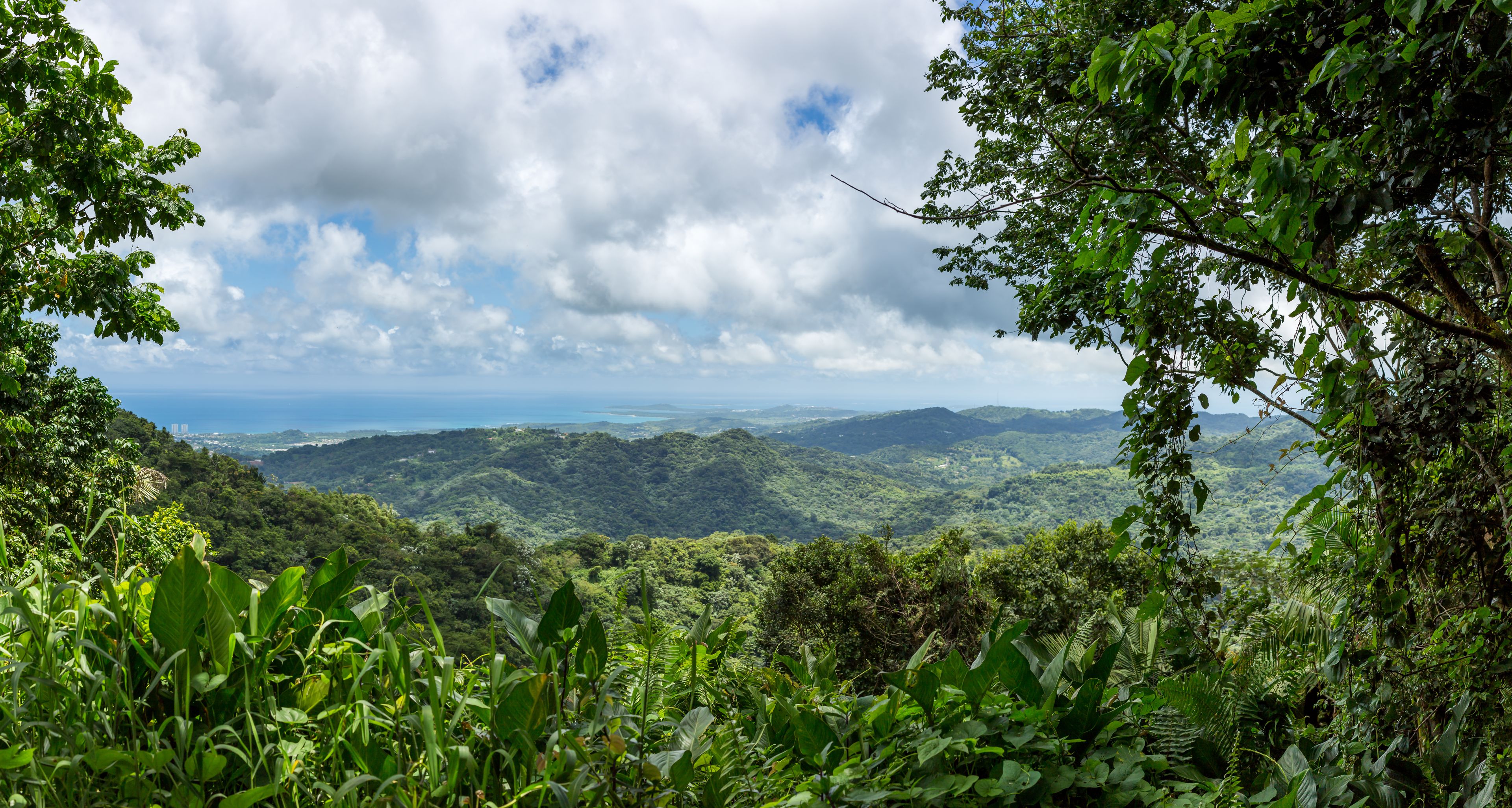 Un paisaje verde exuberante con follaje denso, una vista distante del océano y un cielo nublado.