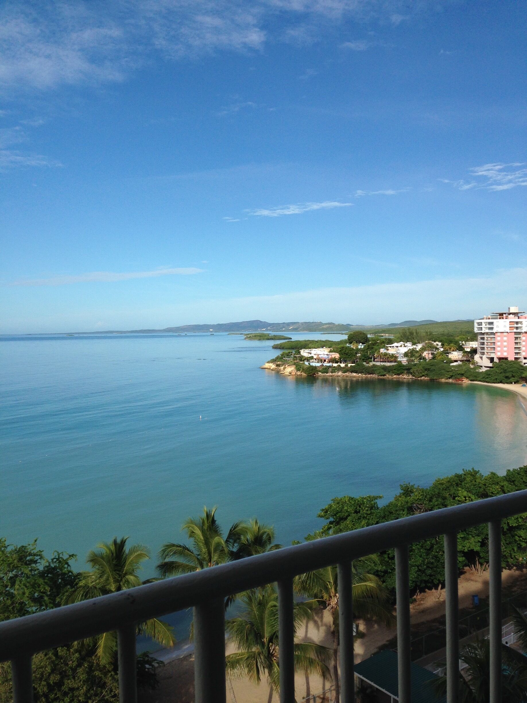 A coastal view with a clear blue sky, calm sea, and a beachfront with buildings and palm trees.