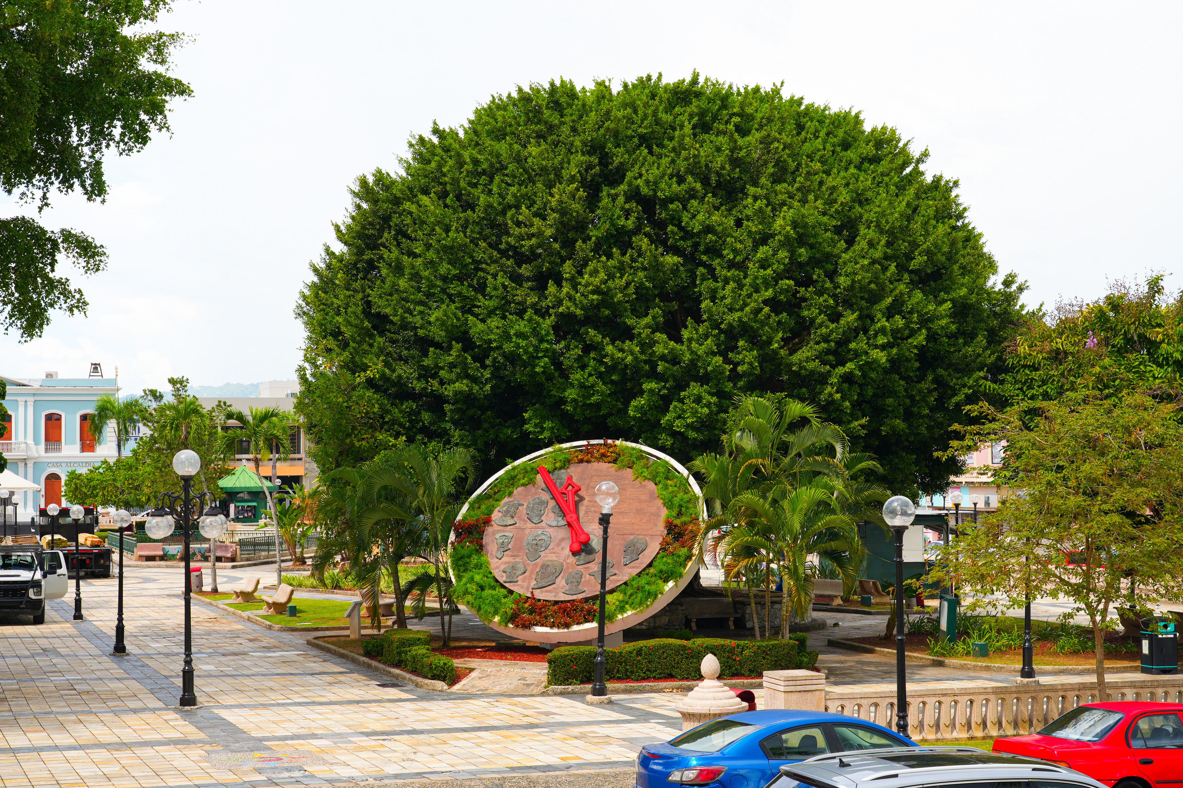 Un gran árbol, un monumento circular y un edificio con fachada azul.