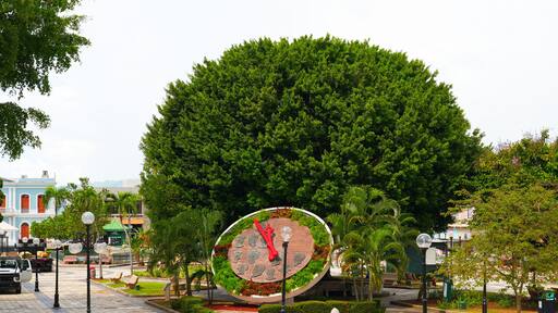 Un gran árbol, un monumento circular y un edificio con fachada azul.