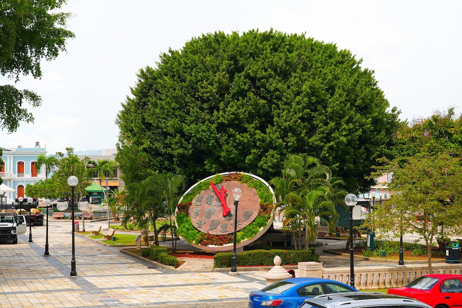 Un gran árbol, un monumento circular y un edificio con fachada azul.