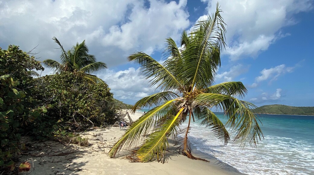 Everyone comes to Culebra to see Flamenco but stay for Zoni Beach