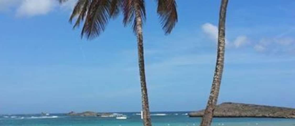 This beautiful beach is about half hour or so from San Juan (not sure how easy it would be to get here with public transportation- we had a rented jeep). The waves are blocked by rocks which create calmer pools of water for kayaking and swimming. We saw at least 4 food trucks as well. The beach was busy on a holiday but we didn't notice any other tourists.