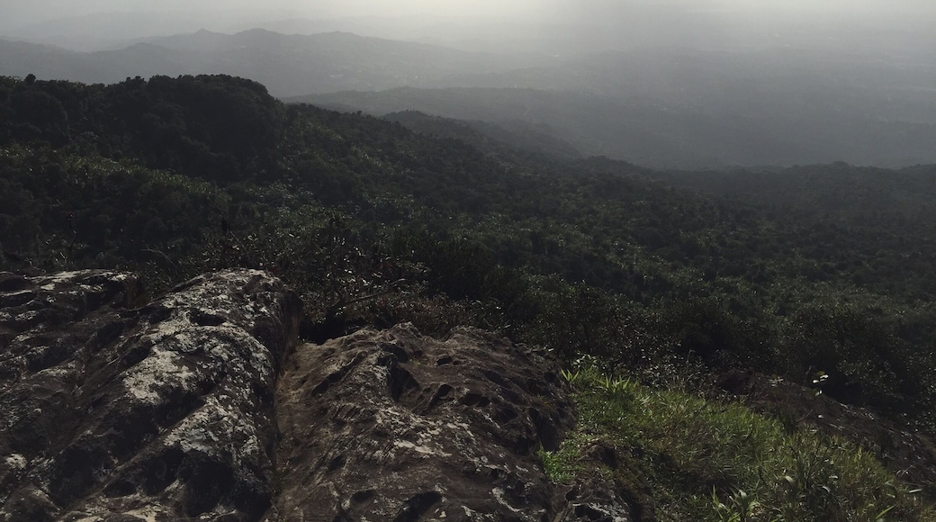 The top of El Yunque #Elyunque #kidsfun #weekendgetaway