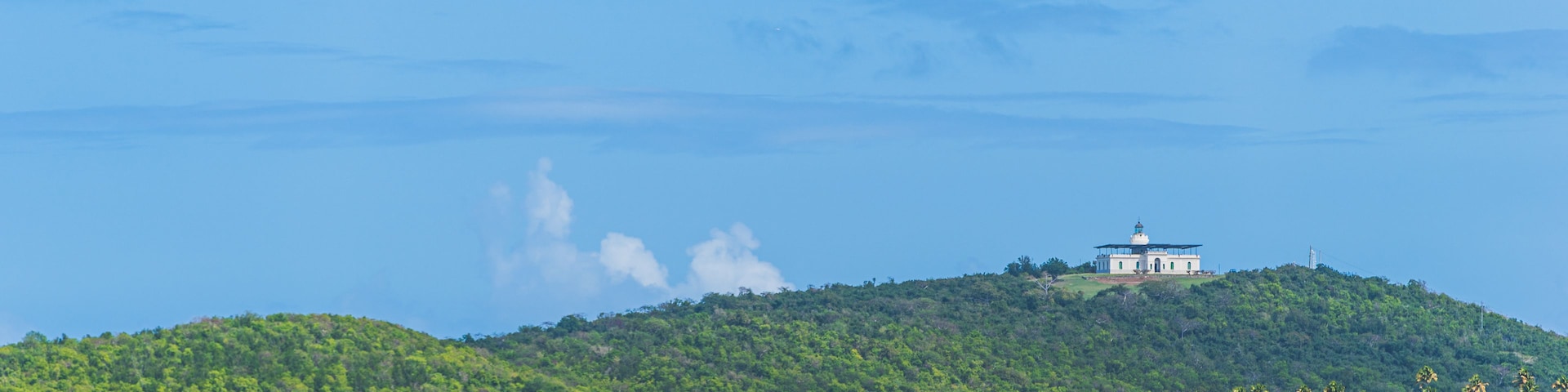 A coastal landscape with a hill covered in dense green vegetation and a clear blue sky.