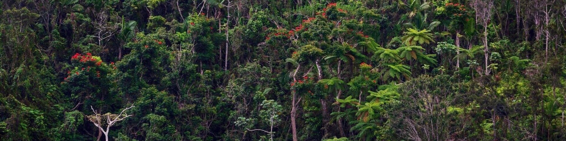 Beautiful Landscape in Carite, Cayey