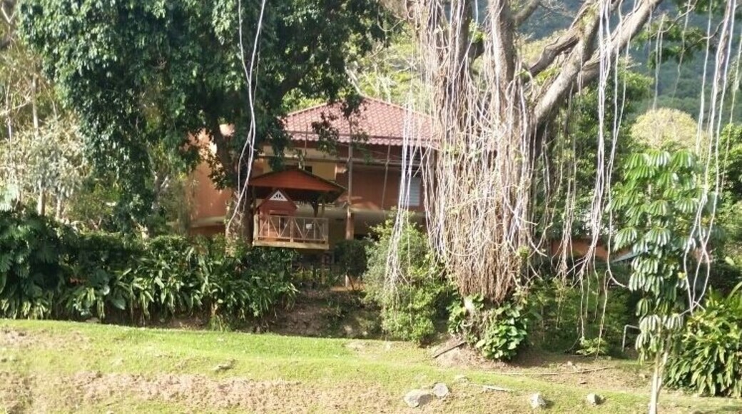 Reflejo de la naturaleza!