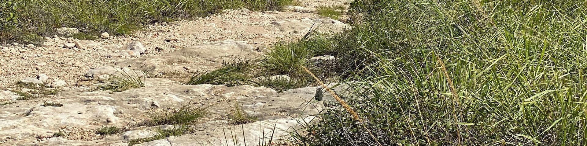Just to the South of the lighthouse is this perfect white sand beach and really empty for all the beaches in South and the island in general.