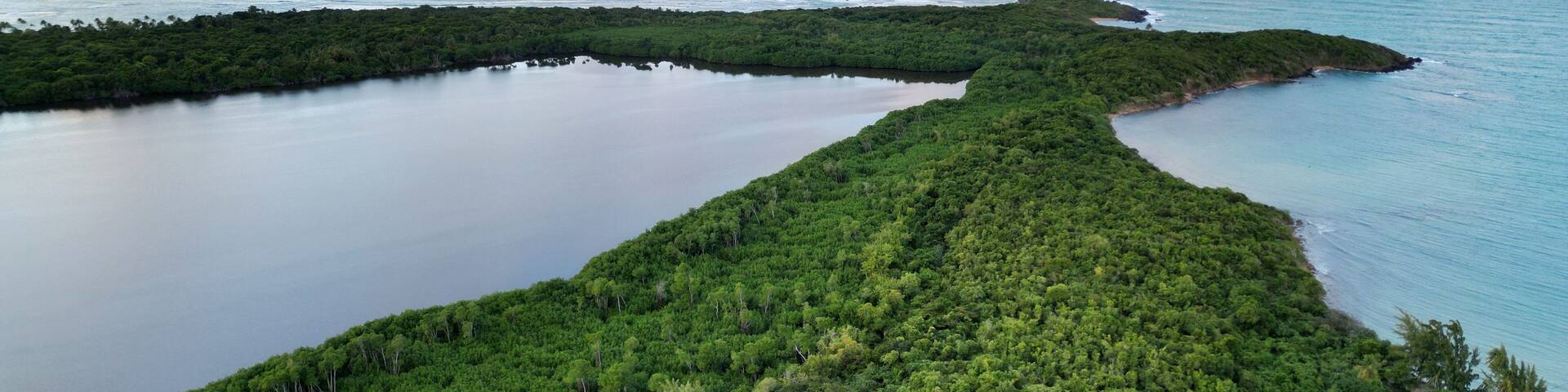 laguna grande drone view (bioluminescent bay fajardo puerto rico) bio luminescent kayak, canoe trip tourism (travel destination) el yunque rainforest jungle and caribbean sea coast, beach, bay, harbor