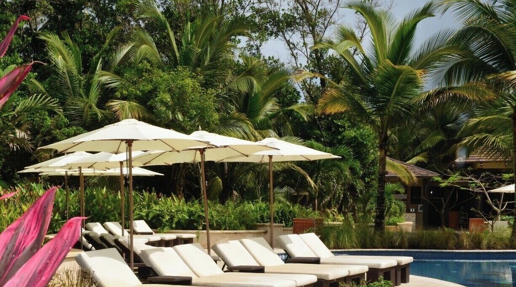 The pool at the The St. Regis Bahia Beach Resort, Puerto Rico has several small pools connected by low tiled cascading waterfalls. As with the whole property it is luxuriously lush and tropical.