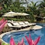 A pool with lounge chairs and umbrellas, surrounded by tropical plants.