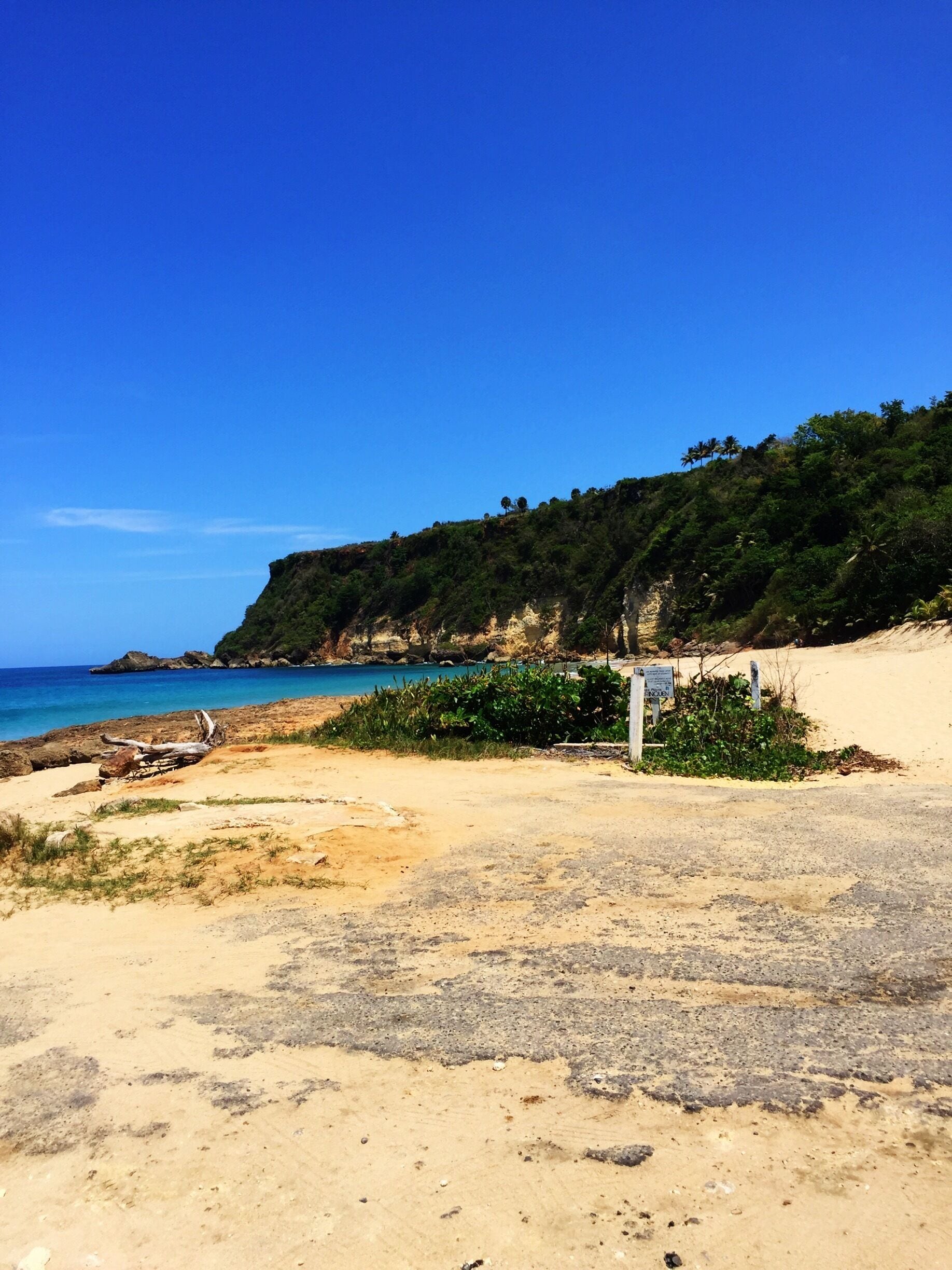 A sandy beach with a clear blue sky, a rocky cliff, and lush greenery.
